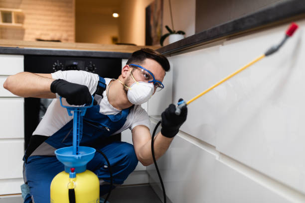 Best Flea Control Services  in West Monroe, LA