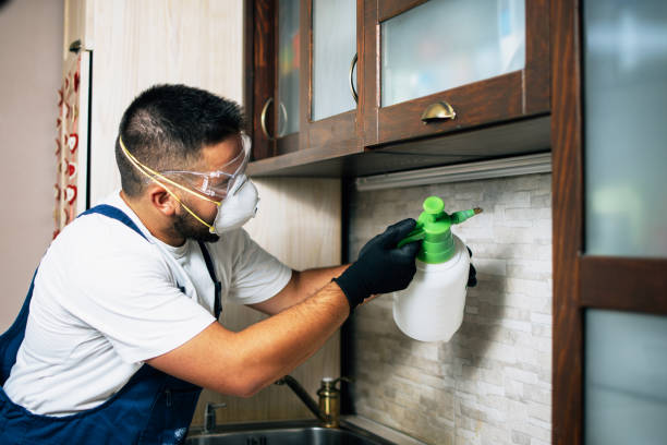 Best Emergency Pest Control  in West Monroe, LA