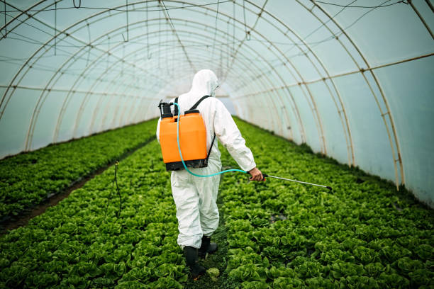 Best Best Pest Control Companies  in West Monroe, LA