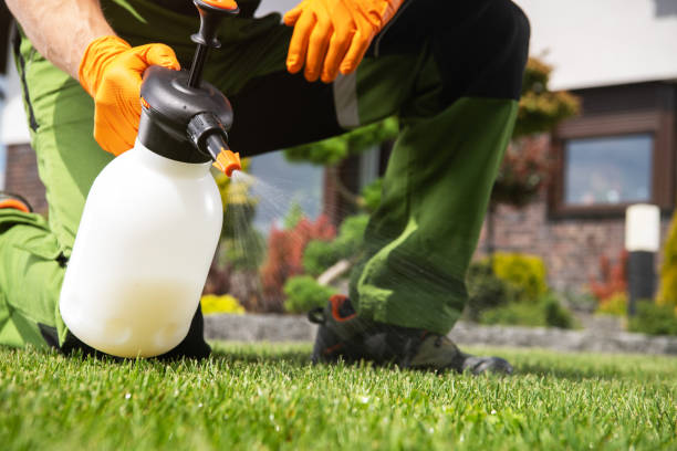 Best Commercial Pest Control Services  in West Monroe, LA