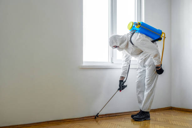 Best Pest Control Near Me in West Monroe, LA