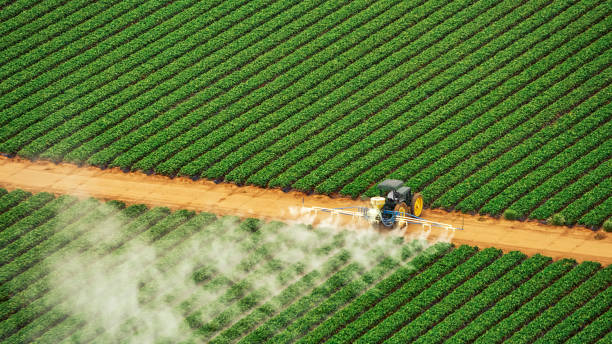 Best Best Pest Control Near Me  in West Monroe, LA